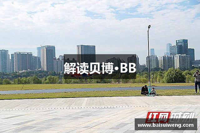 解读贝博·BB
